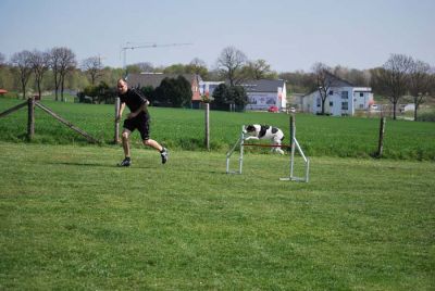 Agility_121.jpg