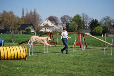 Agility_142.jpg