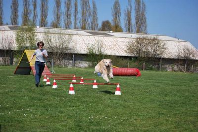Agility_147.jpg