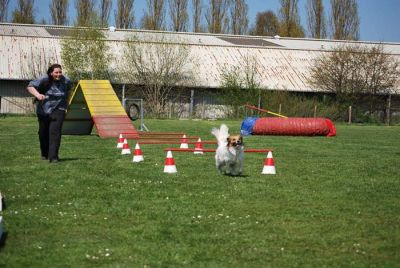 Agility_152.jpg