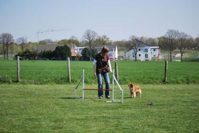 Agility_173.jpg
