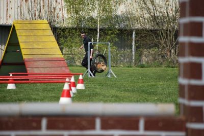 Agility_186.jpg