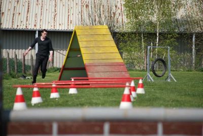 Agility_187.jpg