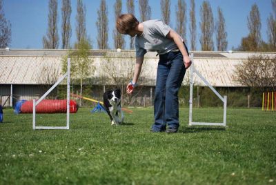 Agility_227.jpg