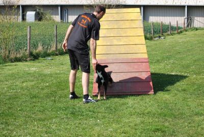 Agility_242.jpg
