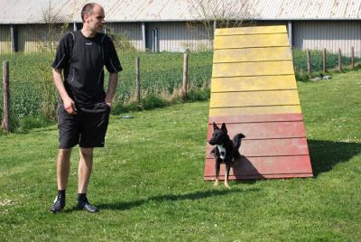 Agility_244.jpg