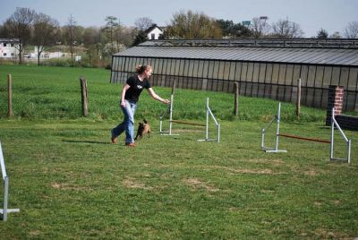 Agility_245.jpg