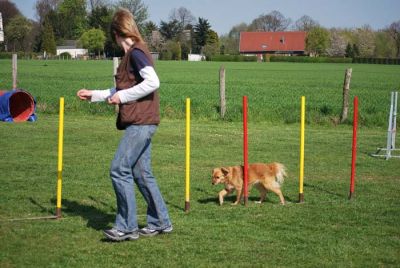 Agility_255.jpg