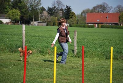 Agility_256.jpg
