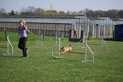 Agility_260.jpg