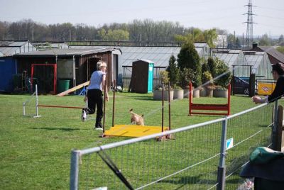 Agility_264.jpg