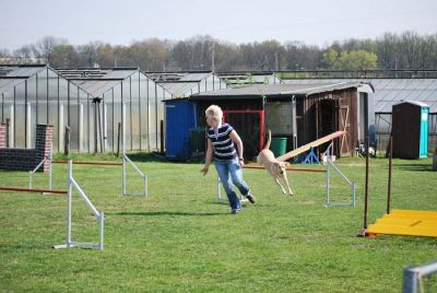 Agility_265.jpg