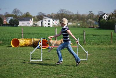 Agility_266.jpg