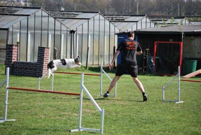Agility_278.jpg