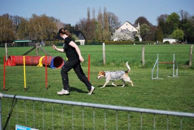 Agility_295.jpg