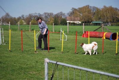 Agility_297.jpg