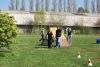 Agility_022.jpg