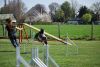 Agility_054.jpg
