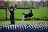 Agility_056.jpg