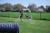 Agility_059.jpg