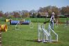Agility_076.jpg