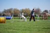 Agility_079.jpg