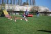 Agility_084.jpg