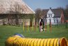 Agility_087.jpg
