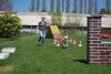 Agility_096.jpg