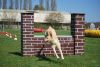 Agility_097.jpg