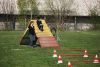 Agility_118.jpg