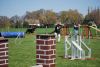 Agility_153.jpg