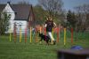 Agility_159.jpg