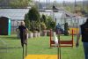 Agility_253.jpg