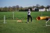 Agility_263.jpg