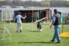 Agility_273.jpg