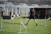 Agility_278.jpg