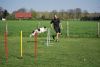 Agility_282.jpg