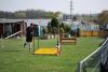Agility_283.jpg