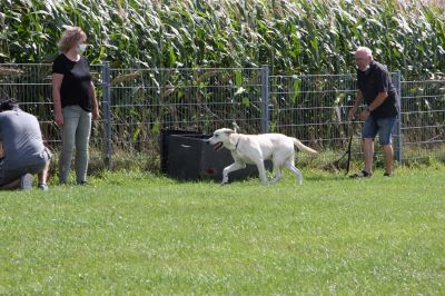 IMG_1576.jpg