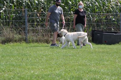IMG_1577.jpg
