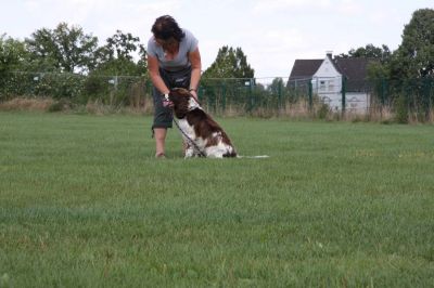 IMG_1611.jpg