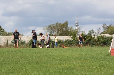 IMG_1727.jpg
