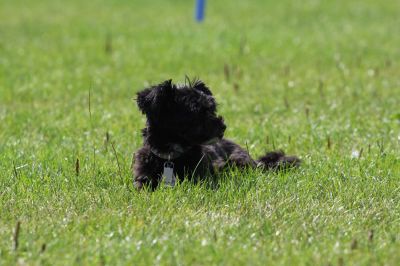IMG_1767.jpg