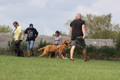 IMG_1785.jpg