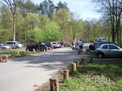 74.jpg