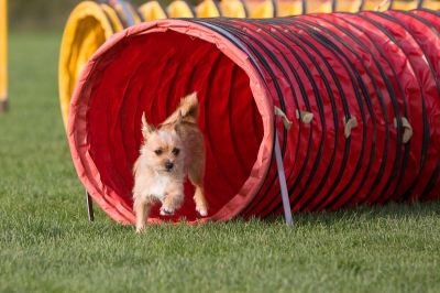 _MG_5757.jpg