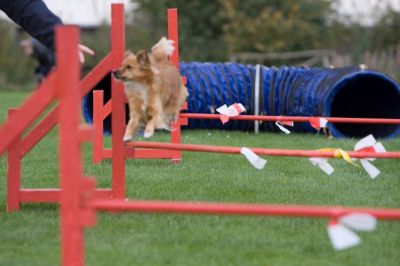 _MG_5791.jpg