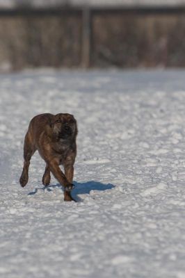 _MG_8029.jpg