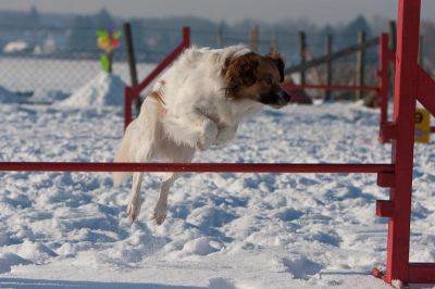 _MG_8093.jpg